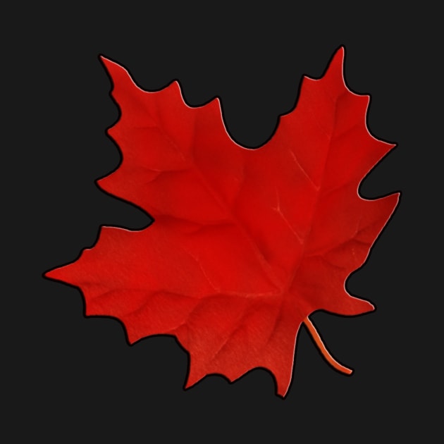 Red Maple Leaf by Dreambarks