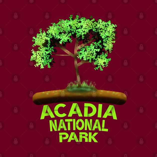 Acadia National Park by MoMido