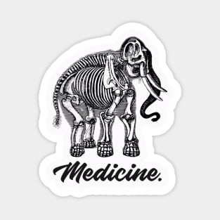 Medicine Anatomy Elephant - Medical Student in Medschool Magnet