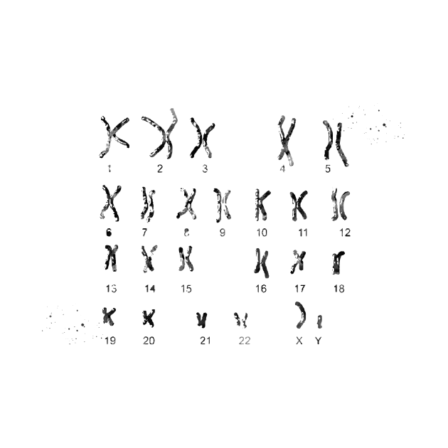 Male Chromosome idiogram by erzebeth