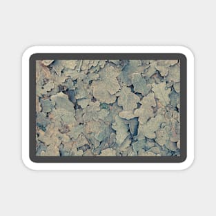 Frozen brown oak leaves background Magnet