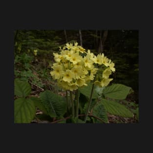 Mountain flowers T-Shirt