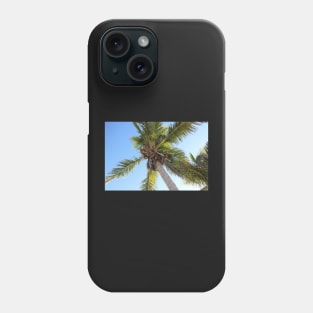 Florida Coconut Palm Phone Case