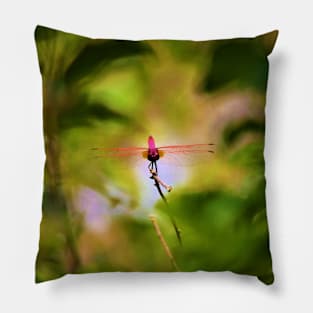 Dragonfly on a Stick 5 Pillow