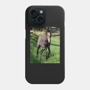 TB COLT Phone Case