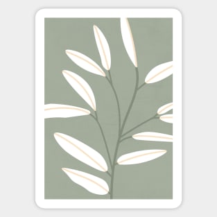 Sage green clothing and accessories  Sticker for Sale by Vaishy13