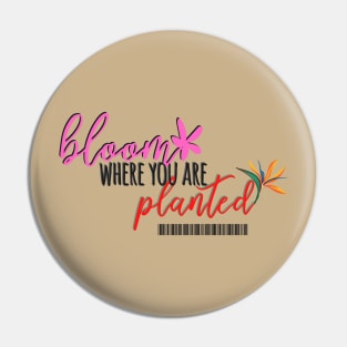 Bloom where are you planted Pin