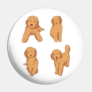 Cute Golden doodle pack Pin