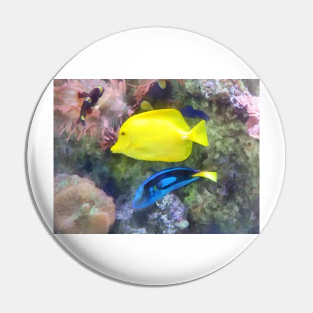 Fish - Yellow and Blue Tang Fish Pin by SusanSavad