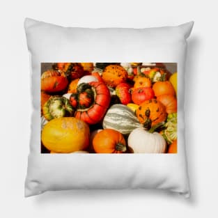 Fall Squash 1 Pillow