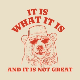 It Is What It Is And It Is Not Great - Funny Bear Raccoon T-Shirt