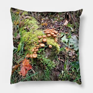 Forest Fungi Pillow