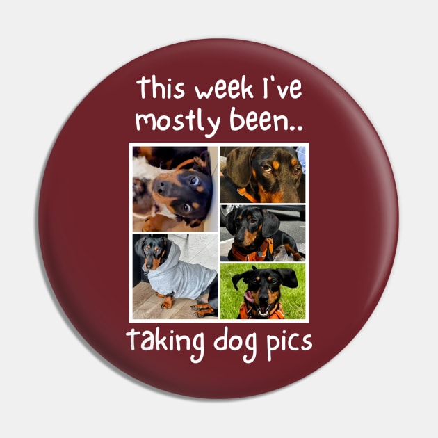 This week i've mostly been.. Taking Dog Pics Pin by The Rocky Plot 