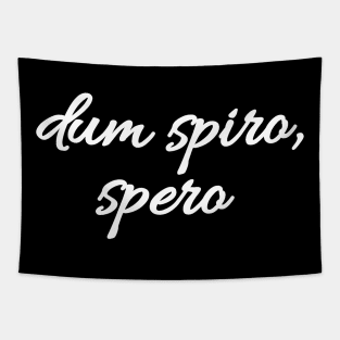 Dum spiro, spero - Latin quote shirt gift idea Tapestry