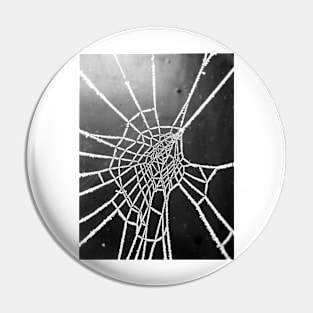 Spider Lace 4 Pin