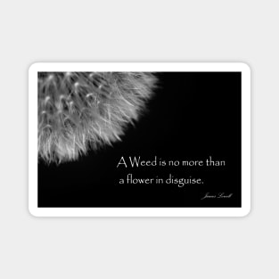 Black and White Fluffy Dandelion Weed Seed Head with Quote Magnet