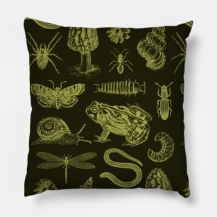 Natural History Vintage Goblincore: Frog, Mushroom, Snail, Moth Pillow