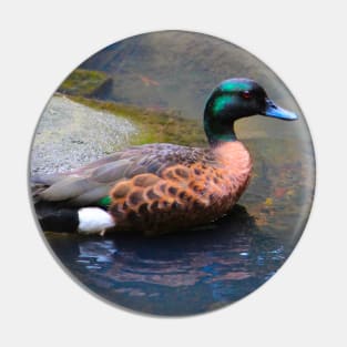 The Duck! Pin