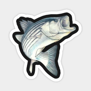 Striped Bass Fishing Magnet