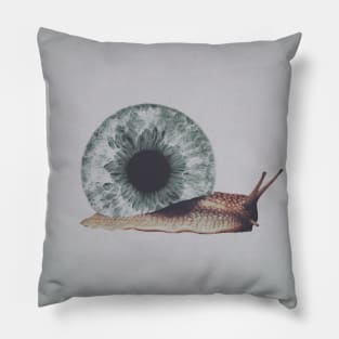 Snail Pillow