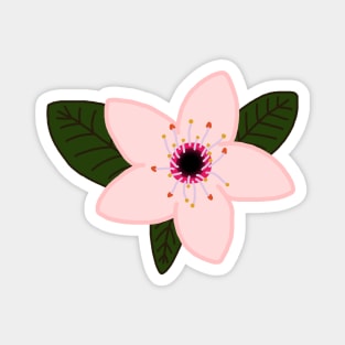 Cherry Blossom Flower Magnet