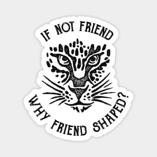 If not friend, why friend shaped? Magnet