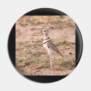 Plover Pin