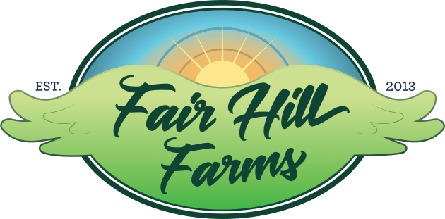 Fair Hill Farms Logo • Color Kids T-Shirt by FalconArt