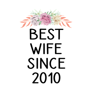 Best Wife Since 2010 Funny Wedding Anniversary Gifts From T-Shirt