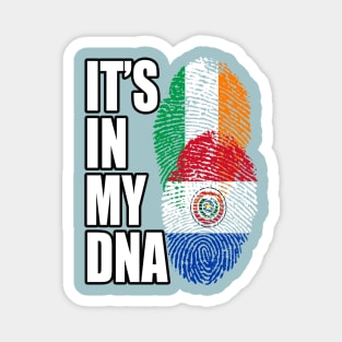 Paraguayan And Irish Mix Heritage DNA Flag Magnet