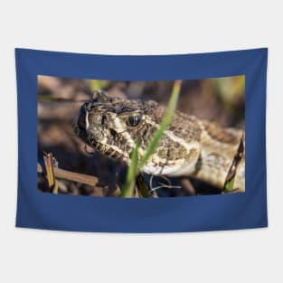 Rattlesnake Tapestry