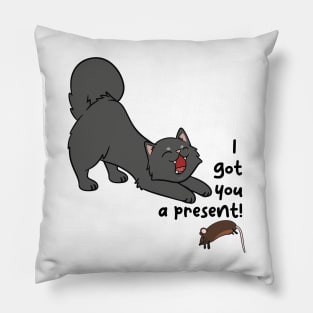 I got you a present! Pillow