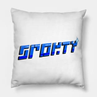 Sleek Sporty Pillow