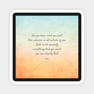 'Do You Know What You Are?' Beautiful Quote by Rumi Magnet