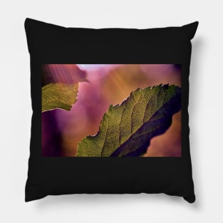 Lifegiving Sunshine lights up a leaf so you can see all the small details Pillow