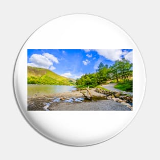 Buttermere Panorama With Driftwood Pin