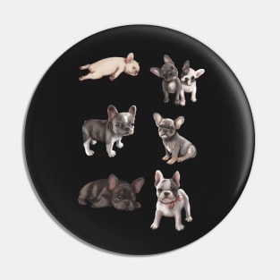 Frenchie puppies Pin