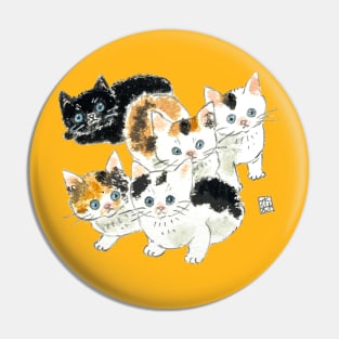 5 cute kitties Pin