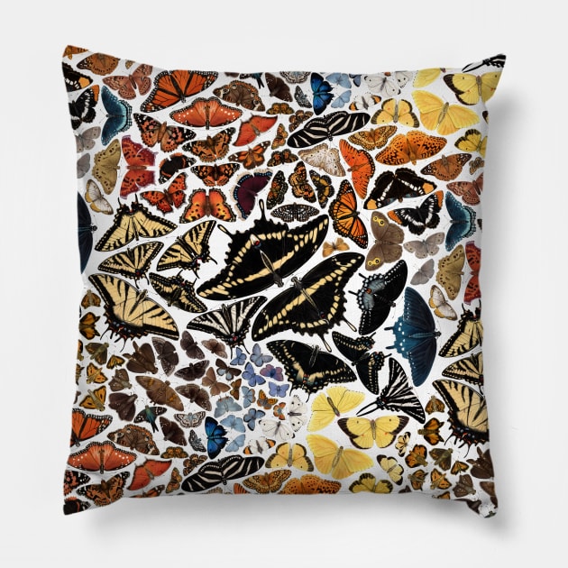 Butterflies of North America Pattern Art Pillow by JadaFitch