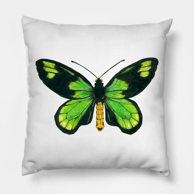Queen Victoria's birdwing butterfly Pillow by katerinamk