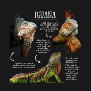 Animal Facts- Iguana T-Shirt