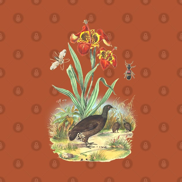 Wildlife Tropical Illustration by Biophilia