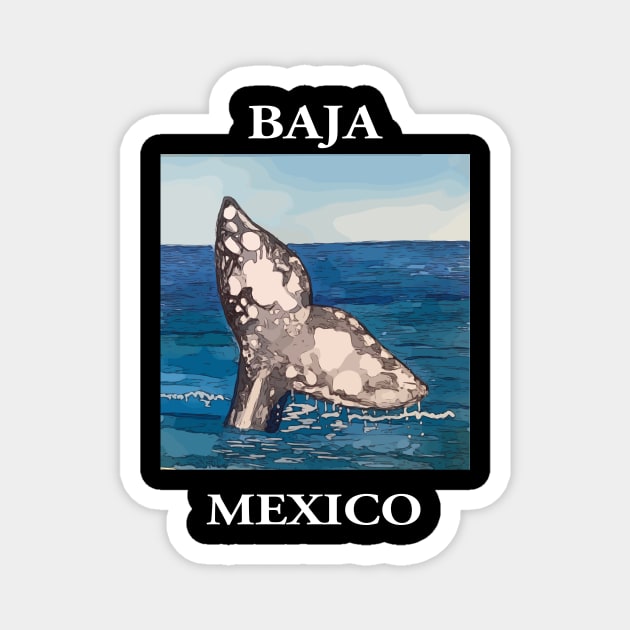 Whale Tail in Baja California Mexico - Welshdesigns Magnet by WelshDesigns