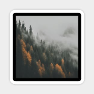 Autumn Dreams: A Misty Mountain Forest Magnet