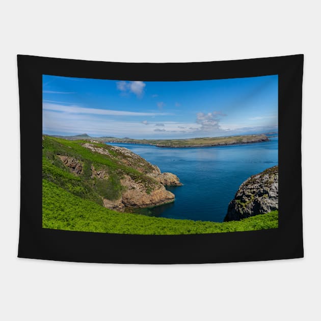 A  view from RSPB Ramsey Island, Pembrokeshire Tapestry by yackers1