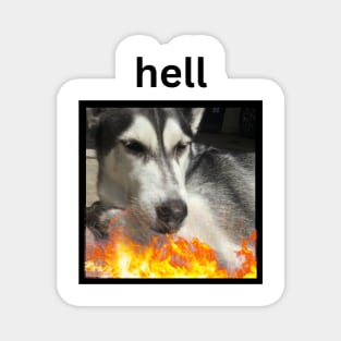 Husky Squinting Simple Hell Fire Square Magnet