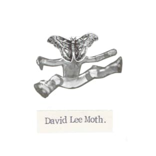 David Lee Moth T-Shirt