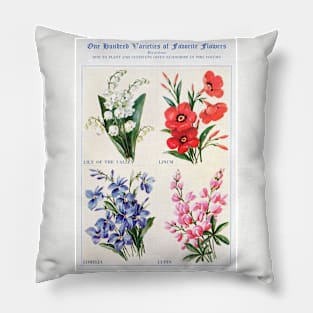 Flower watercolor illustration (1915) Pillow