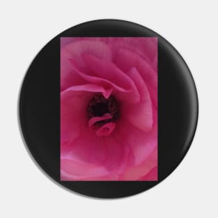 Love is as Tender as the Pink Ranunculus Pin