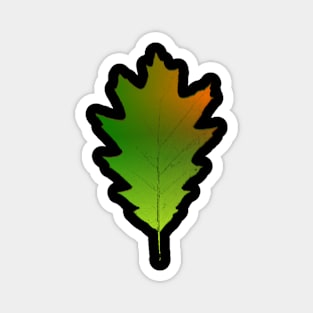 Oak leaf Magnet